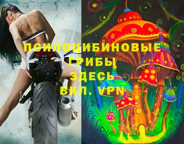 бошки Коряжма