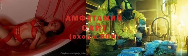 ГАЛЛЮЦИНОГЕННЫЕ ГРИБЫ Костерёво