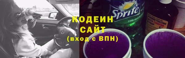 ГАЛЛЮЦИНОГЕННЫЕ ГРИБЫ Костерёво