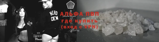 ГАЛЛЮЦИНОГЕННЫЕ ГРИБЫ Костерёво