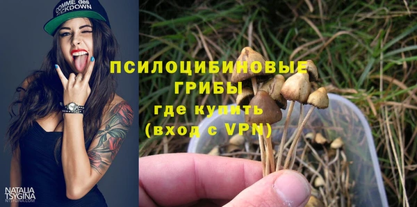 ГАЛЛЮЦИНОГЕННЫЕ ГРИБЫ Костерёво