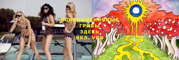 ГАЛЛЮЦИНОГЕННЫЕ ГРИБЫ Костерёво