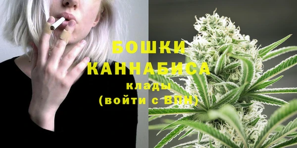 ГАЛЛЮЦИНОГЕННЫЕ ГРИБЫ Костерёво